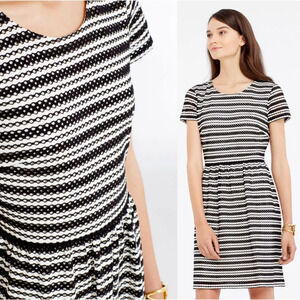 Ann Taylor 10 Striped Cotton Eyelet Dress Short Sleeve Fit & Flare Black Cream